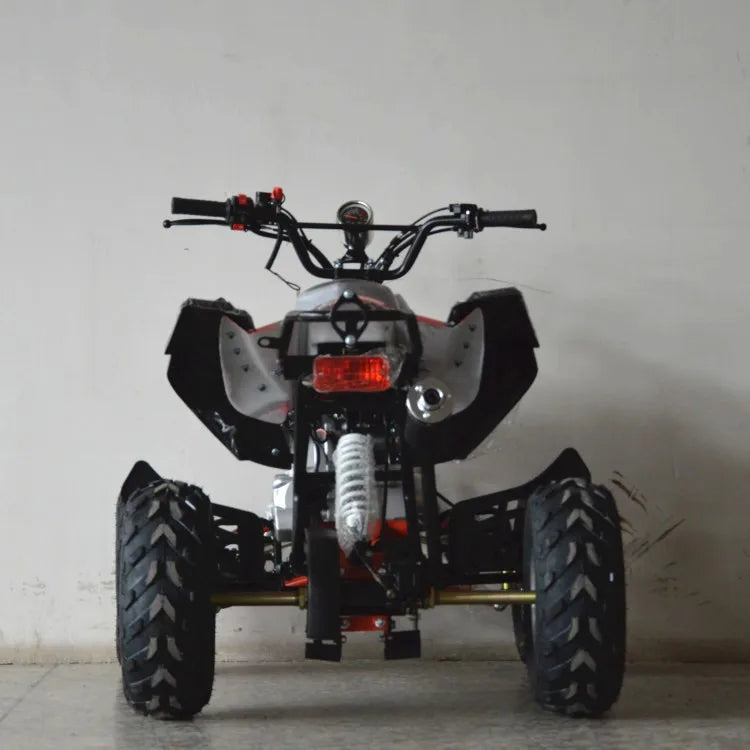 110cc 125CC quad bike 4 wheeler ATV 4x4 Driving for adults