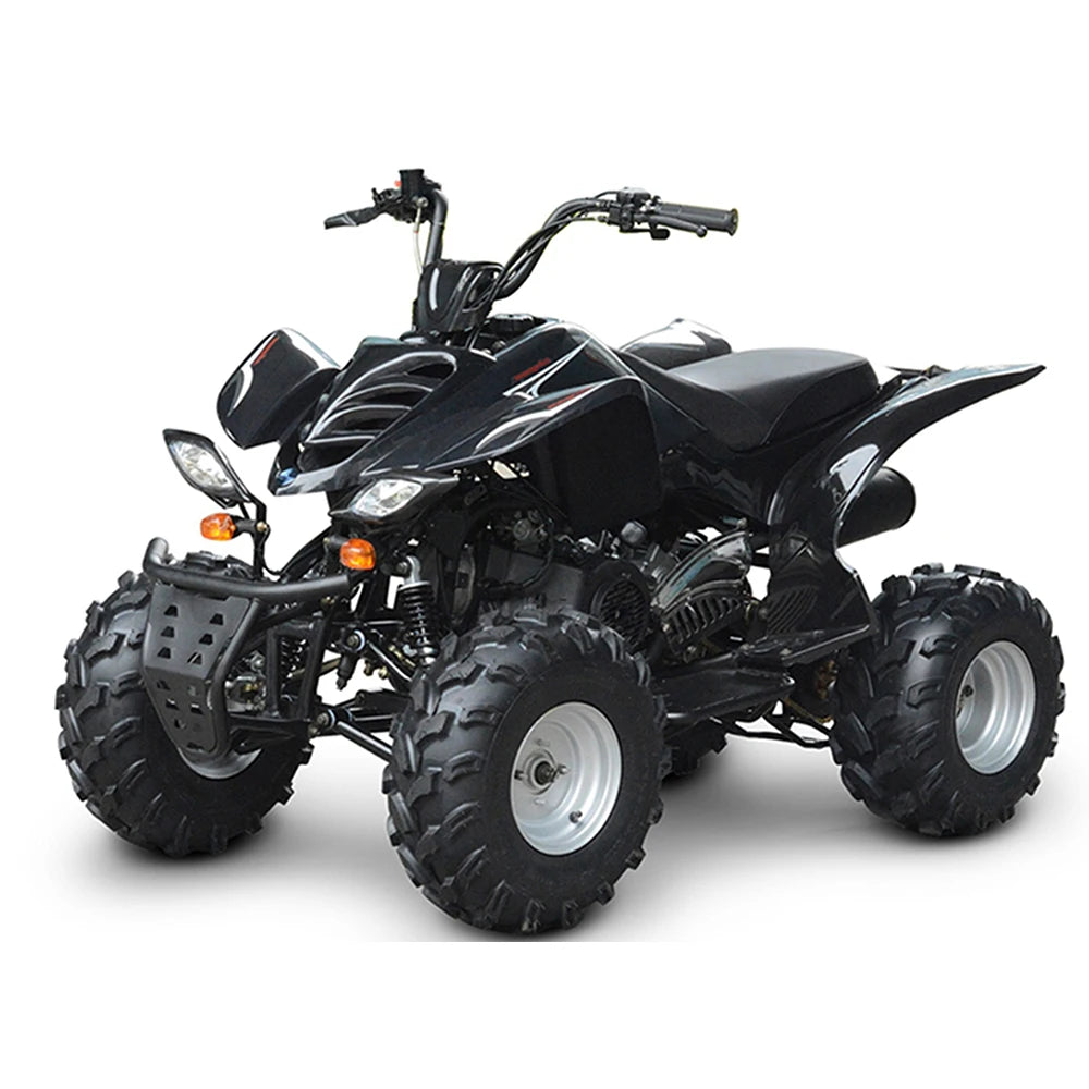 4 Wheeler Quad Bike ATV Farm Quad Bike 250cc 2x4 150cc 4x4 Off Road Farm Quad  ATV Bike