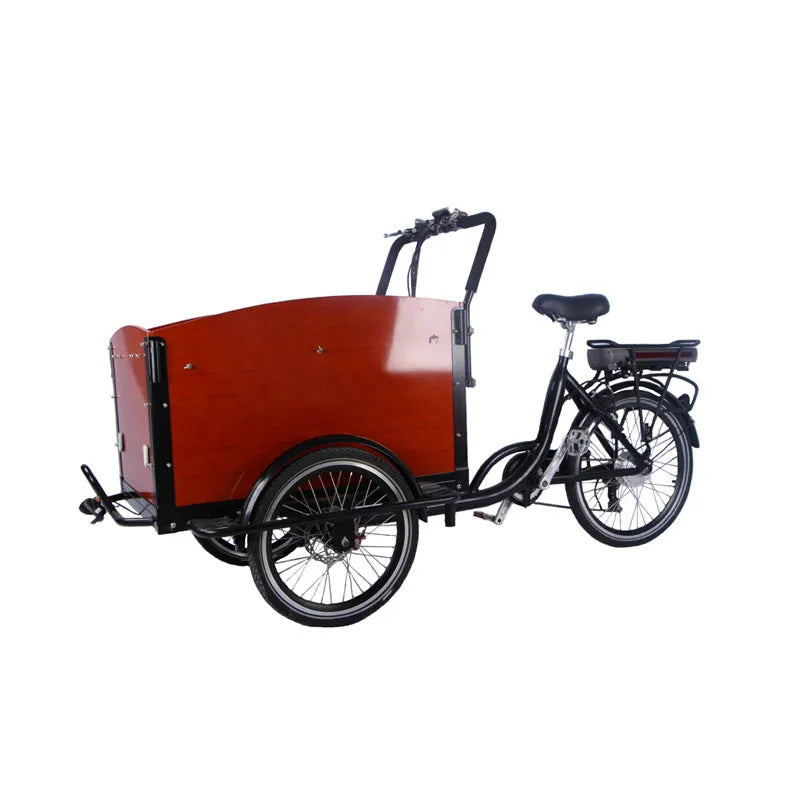 3 Wheels Pedal Electric Cargo Bike Dutch Adult Tricycle Family Bicycle Street Kids Scooter for Sale Customizable