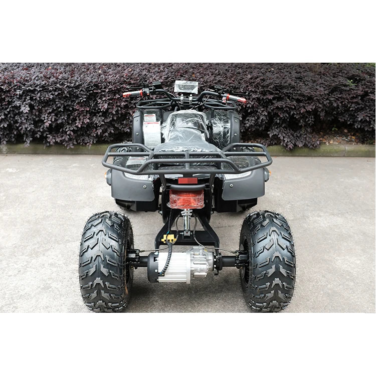 Jinling Hot Sale Cheap Automatic Racing Quad Off Road Motorcycle 4 Wheel Atvs Electric Quad Bike 4 X4 Atv For Adultscustom