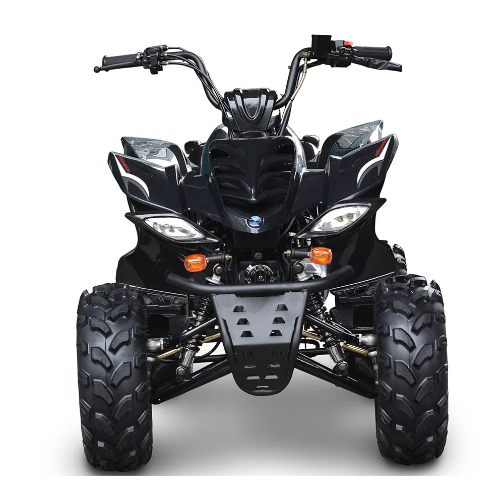 4 Wheeler Quad Bike ATV Farm Quad Bike 250cc 2x4 150cc 4x4 Off Road Farm Quad  ATV Bike