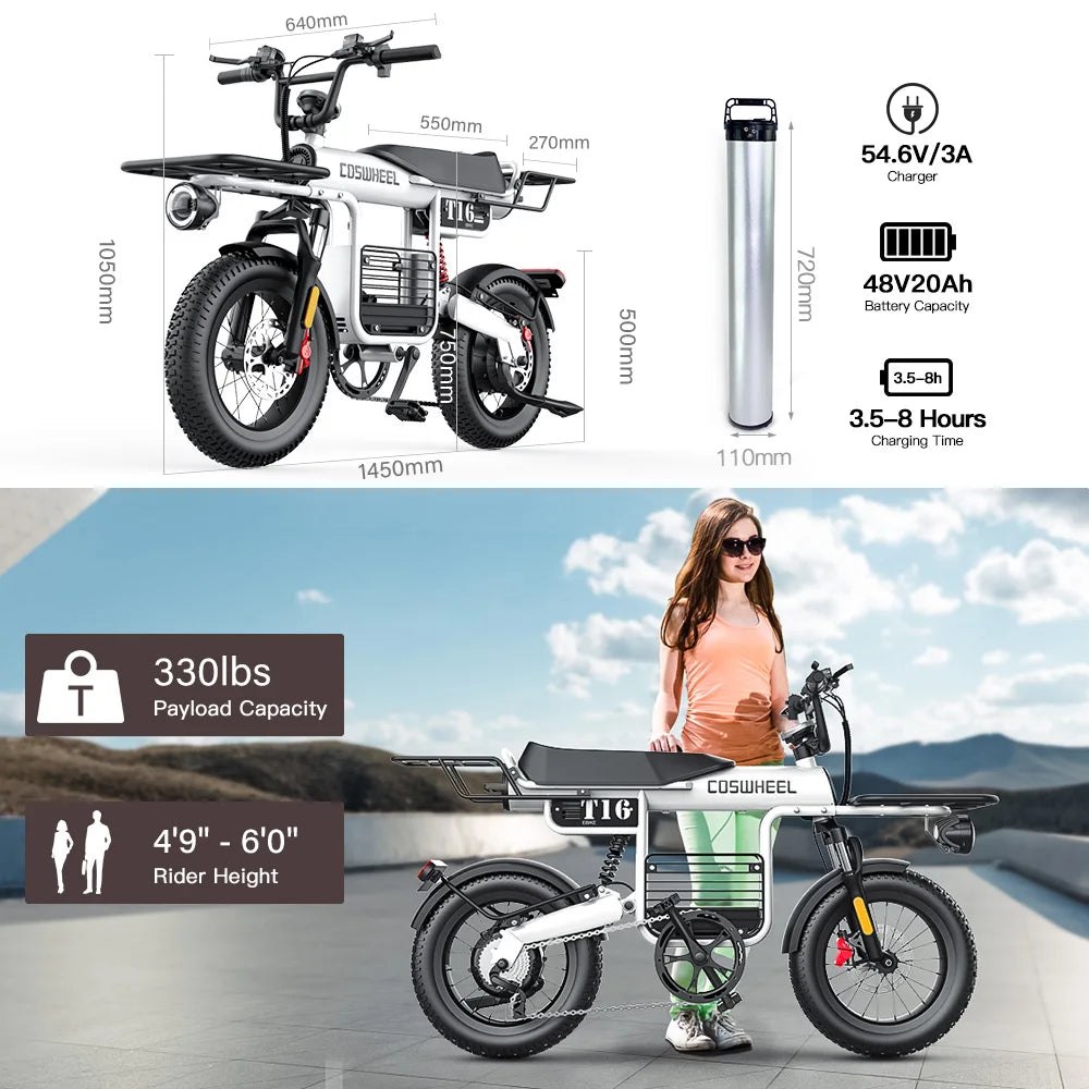 Coswheel T16 Factory direct sales two wheels 750W 48V bicycle new prices fast speed hybrid 48v electric city bike e bike ebike