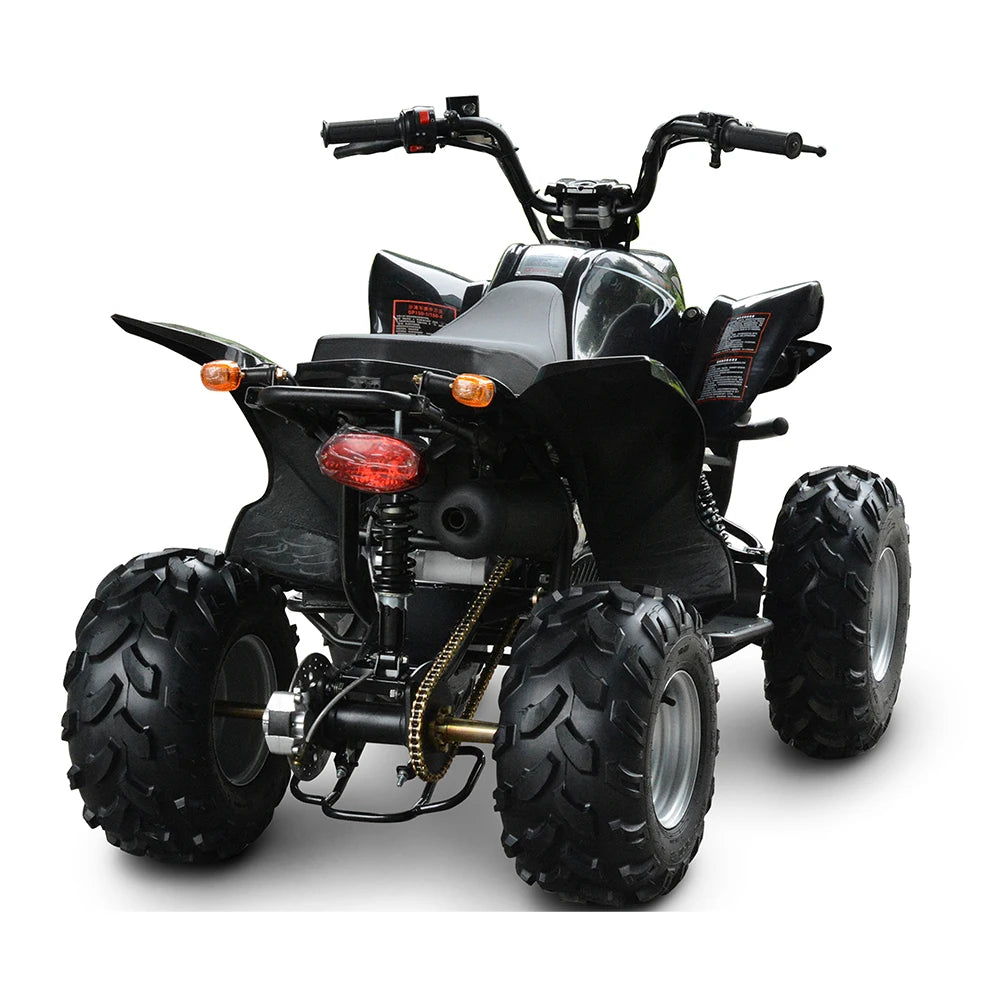 4 Wheeler Quad Bike ATV Farm Quad Bike 250cc 2x4 150cc 4x4 Off Road Farm Quad  ATV Bike