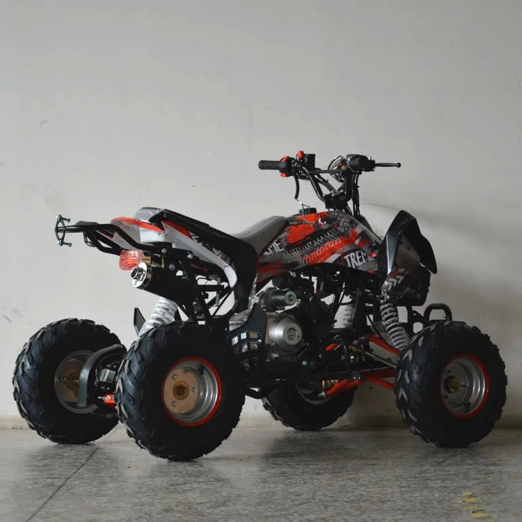 110cc 125CC quad bike 4 wheeler ATV 4x4 Driving for adults