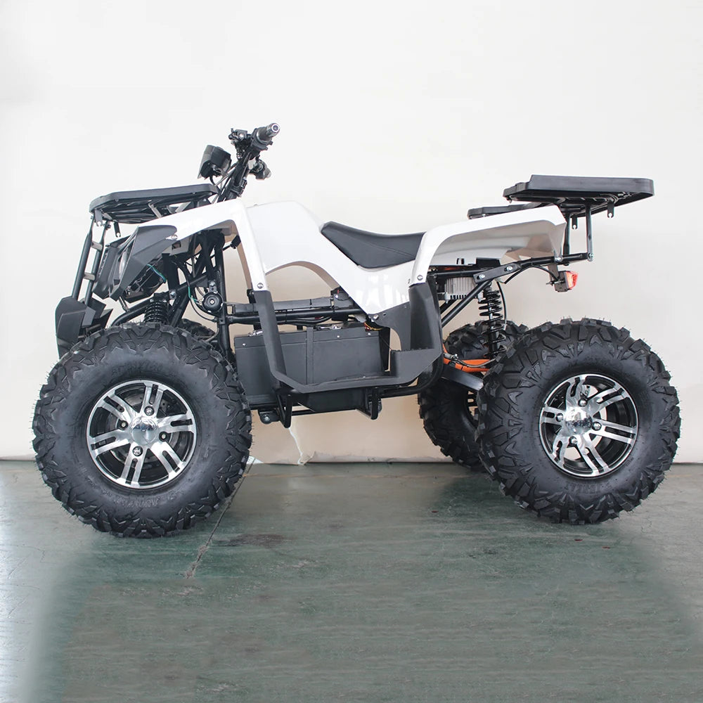 Factory Direct Sales 4*4 mini electric atv for adultcustom