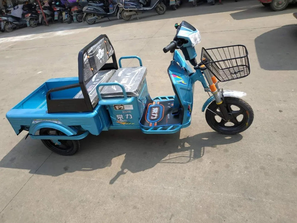 Adult battery car 3 wheels electric scooter 500w cargo electric tricycle factory direct sales