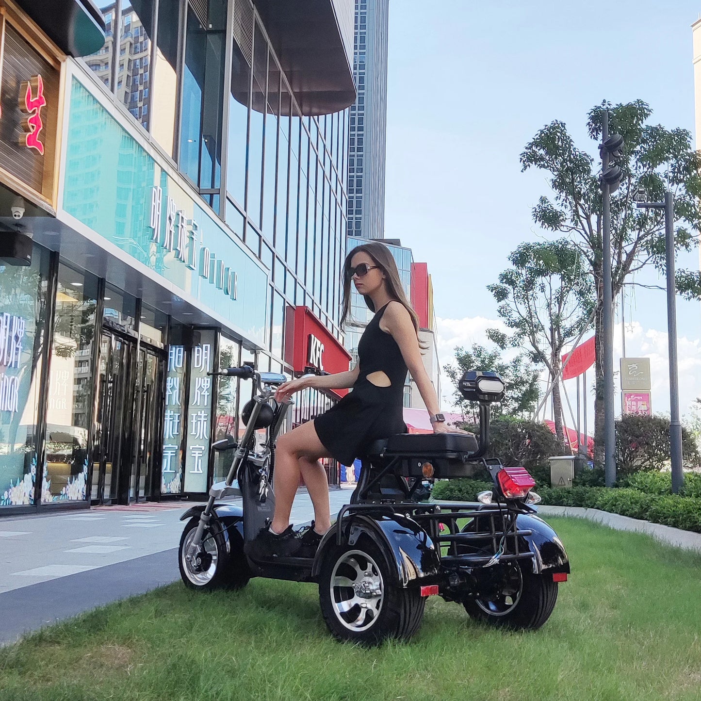 Citycoco Max Load 250KG Adult Electric 3 Wheel Scooter 2000W Motor Max Speed 35-45KM/H 18 Inch Fat Tire Electric Motorcycle EEC