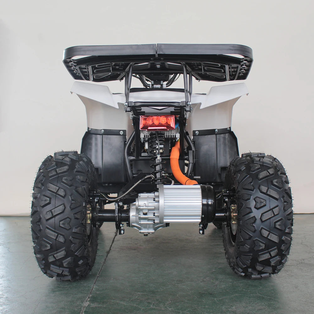 Factory Direct Sales 4*4 mini electric atv for adultcustom