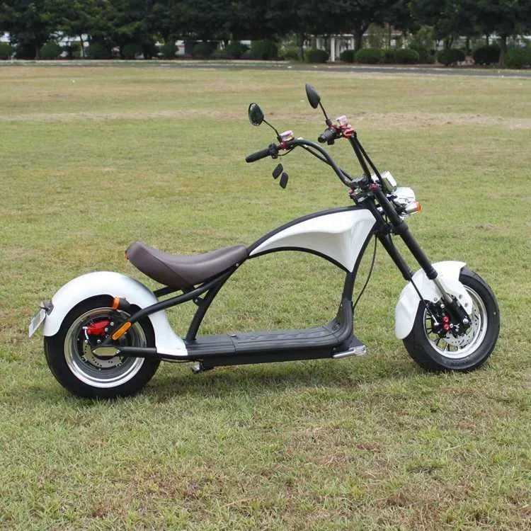 2020 Rooder r804-m1 Europe stock holland warehouse CE EEC COC 2000w 3000w chopper scooter electric motorcycles