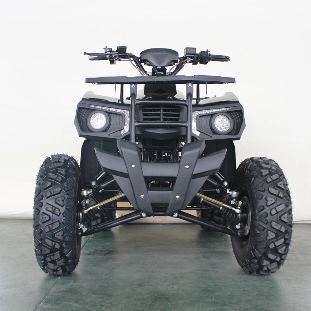 Factory Direct Sales 4*4 mini electric atv for adultcustom