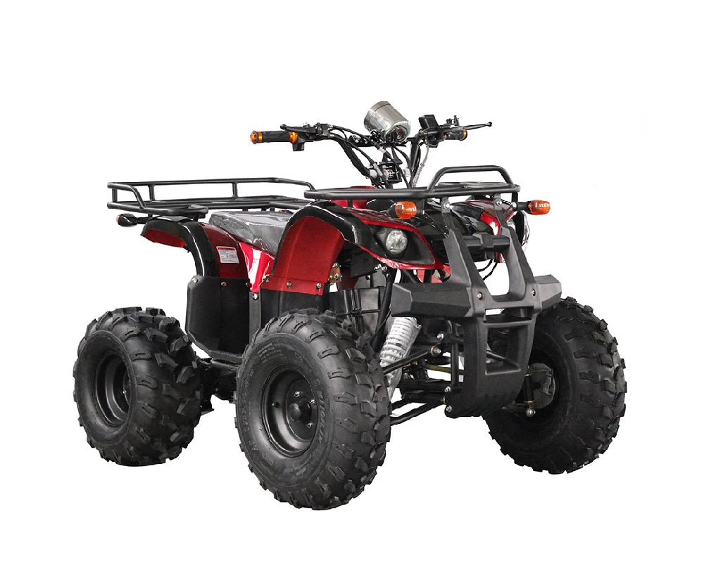 Electric atv 4x4 4 wheeler atv for adultscustom