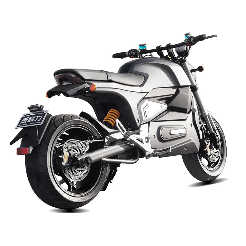 WUXI factory direct sell M6 high speed electric bike range 100km  motorcycle for sale